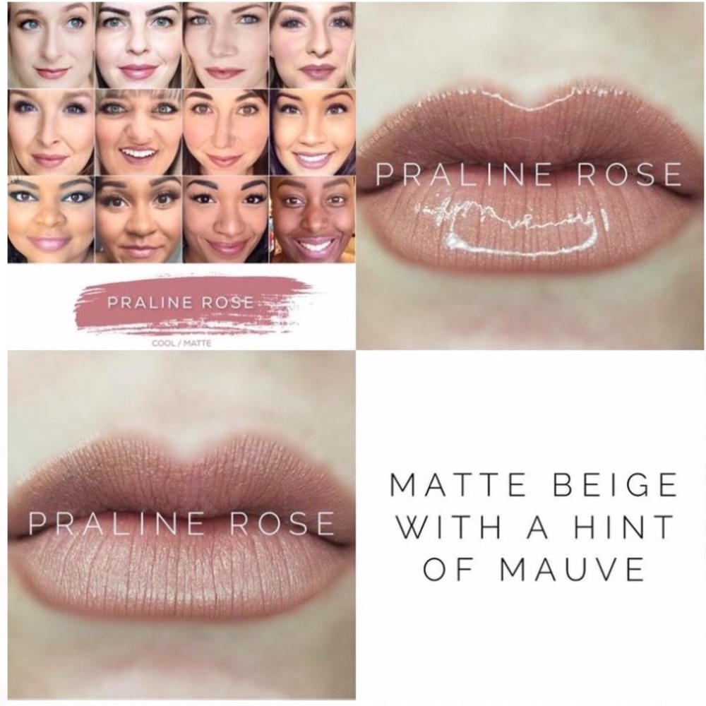 🎄Praline Rose Lipsense. Great gift!